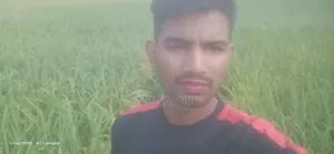 একটি চাকুরির খুব দরকার এই মুহুর্তে