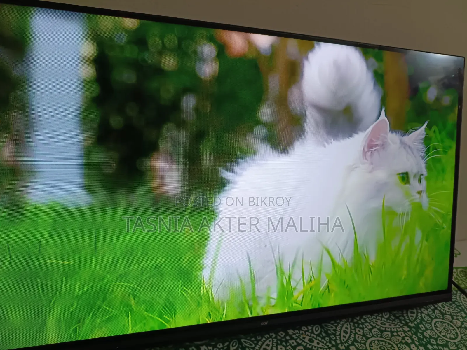 Eco Smart Android TV 32inch