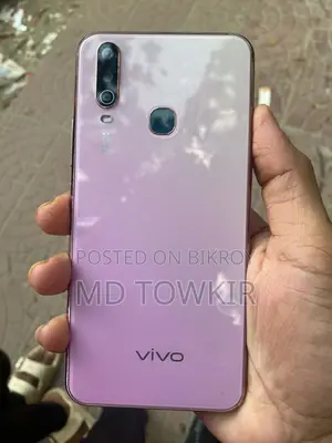 ভিভো ওয়াই ১৭ ২৫৬ জিবি পিংক