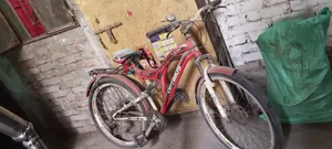 সাইকেল সাইকেল