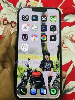 অ্যাপল আইফোন ১৩ প্রো ম্যাক্স ২৫৬ জিবি নীল