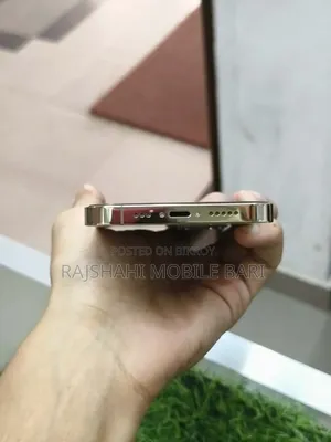 অ্যাপল আইফোন ১২ প্রো ২৫৬ জিবি পার্পল