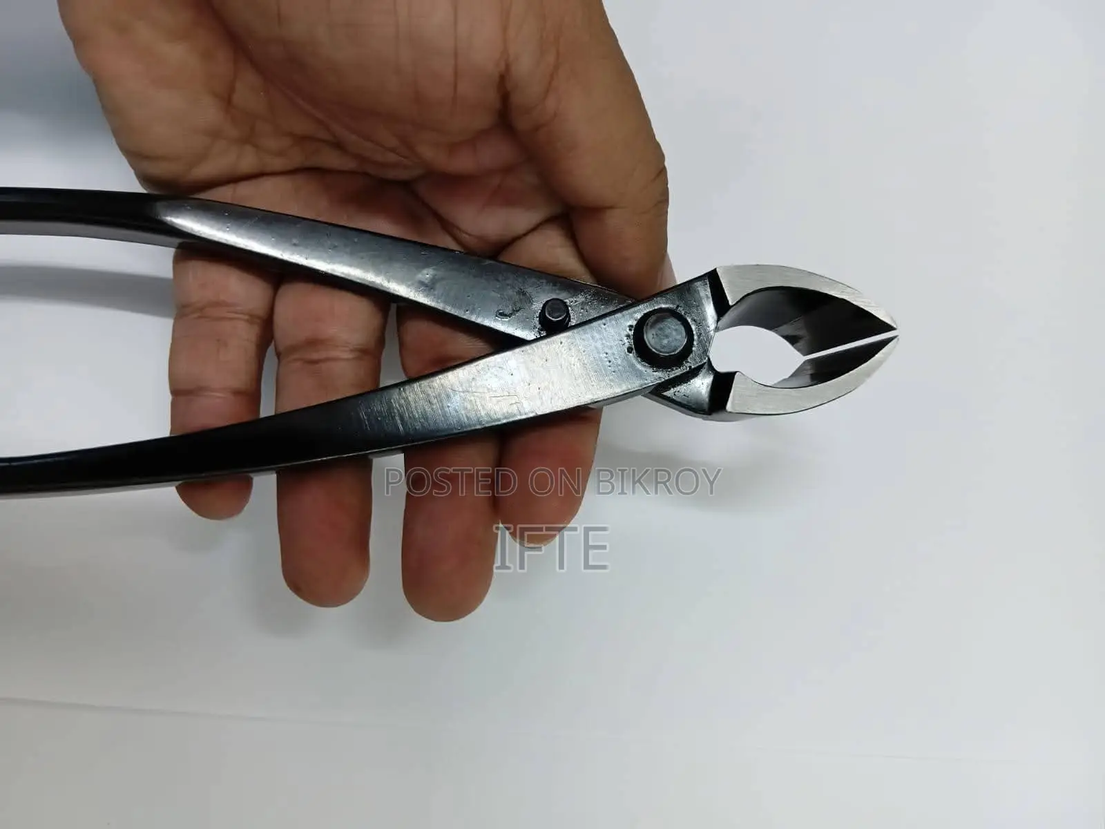 প্রেমনা এবং তেঁতুল বনসাই উপকরণ, ফার্ন — মিরপুর