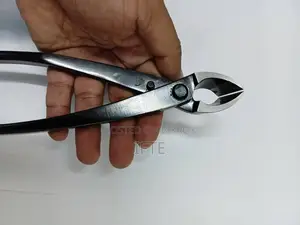 প্রেমনা এবং তেঁতুল বনসাই উপকরণ, ফার্ন — মিরপুর