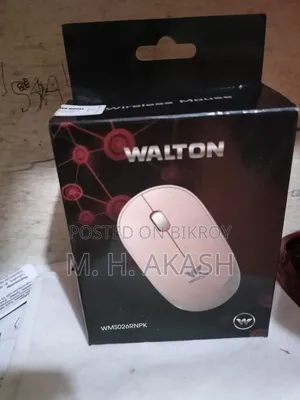 Walton Mouse