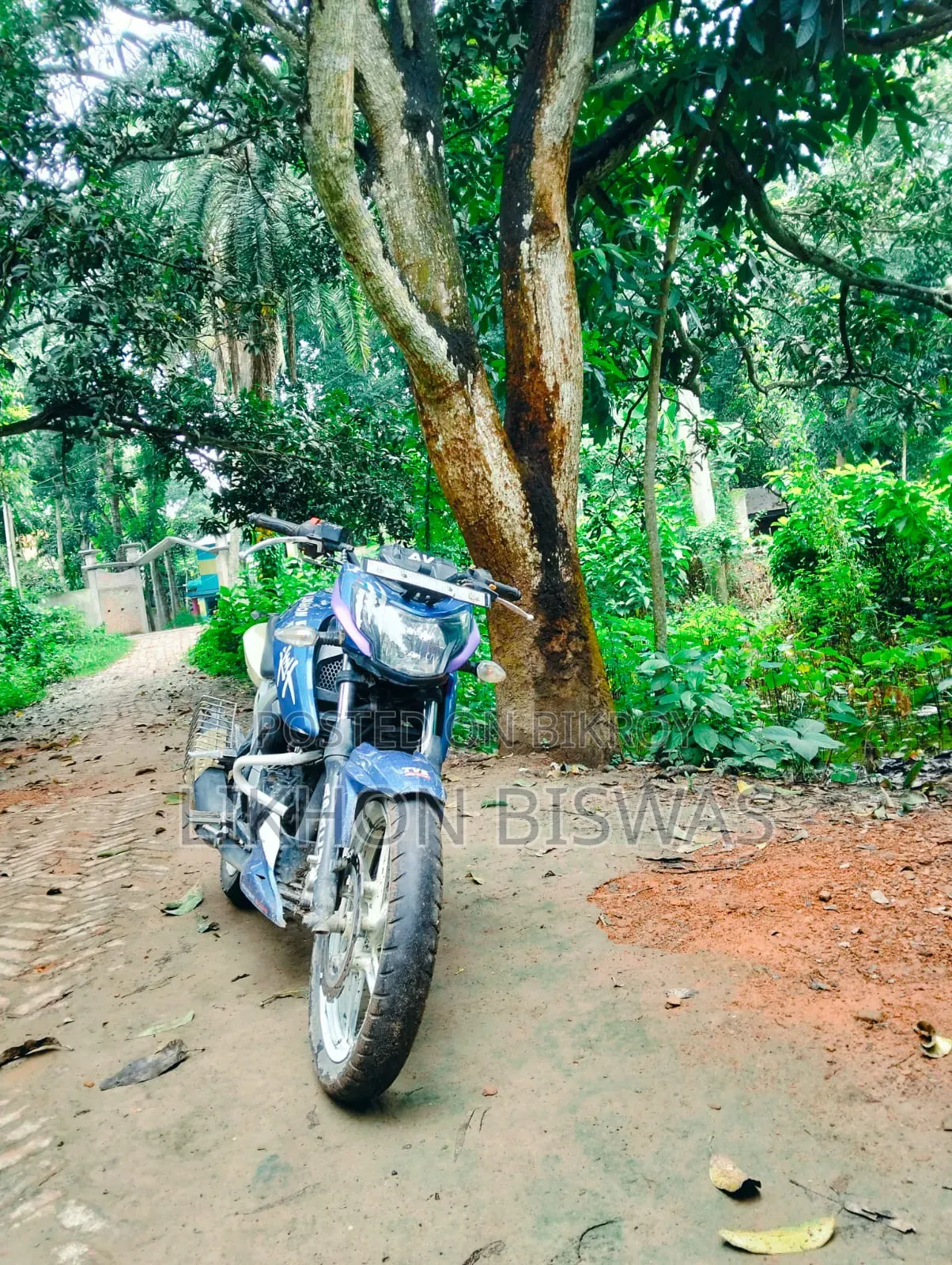 টিভিএস অ্যাপাচে ১৬০ ৪ভি ২০২১ নীল