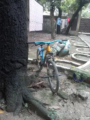 Cycle for sell