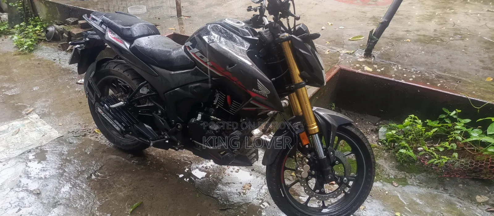 হোন্ডা হর্নেট ২.০ ২০২৪ ব্ল্যাক