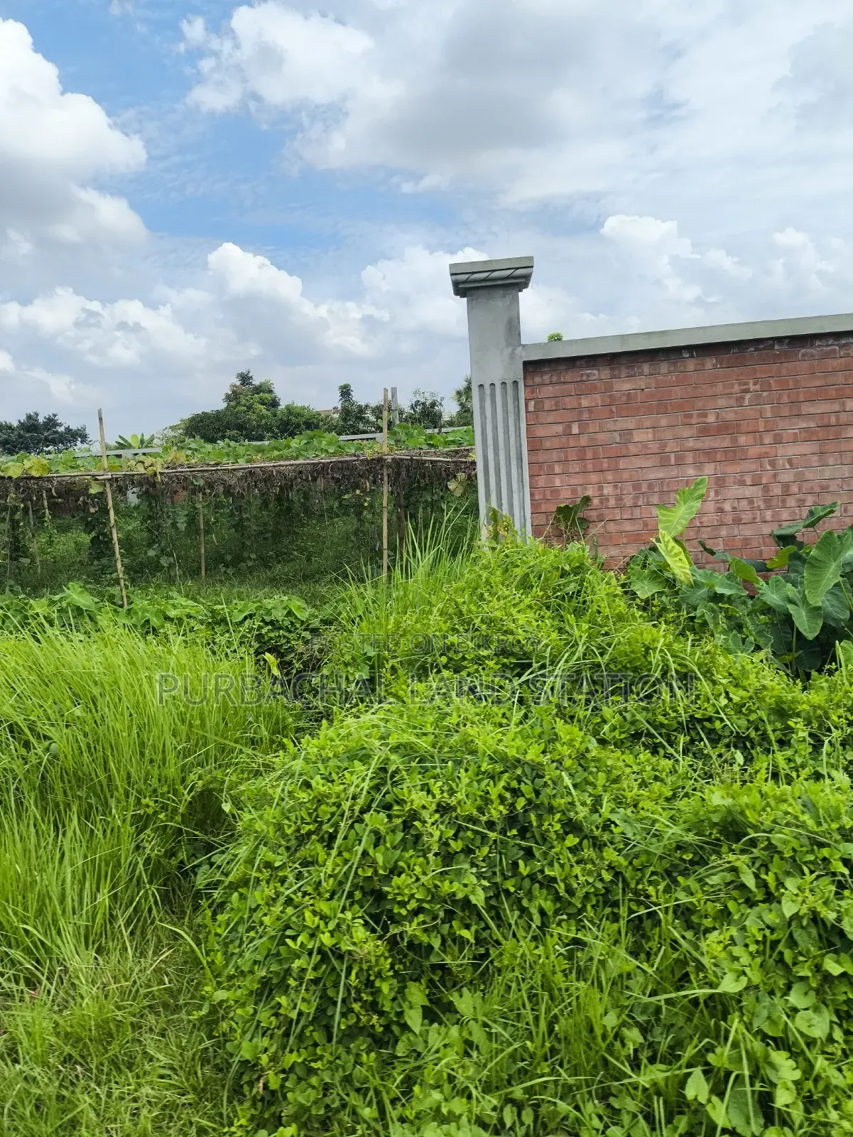 Sector: 24, Park and Lake View 10 Katha Plot Sale in Purbachal