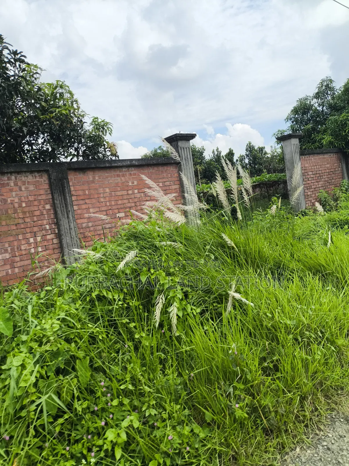 Sector: 24, Park and Lake View 10 Katha Plot Sale in Purbachal