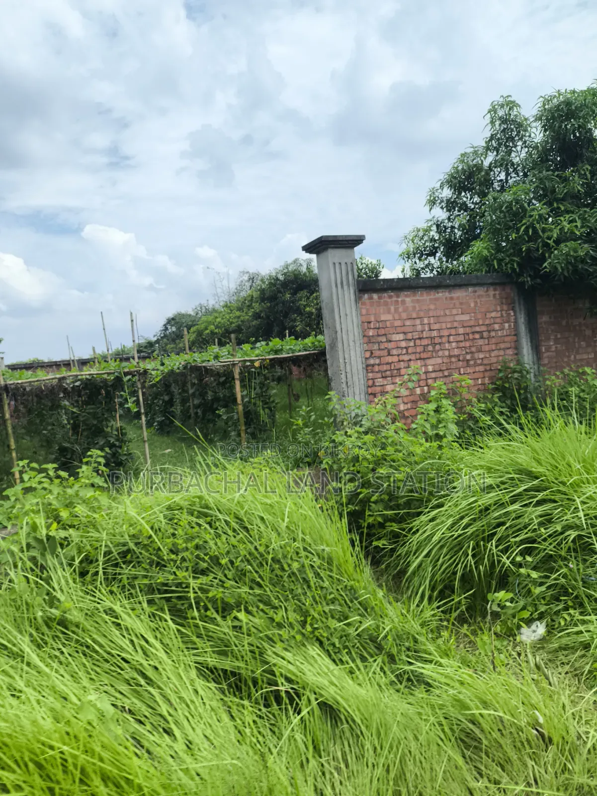 Sector: 24, Park and Lake View 10 Katha Plot Sale in Purbachal