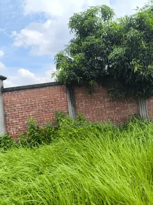 Sector: 24, Park and Lake View 10 Katha Plot Sale in Purbachal