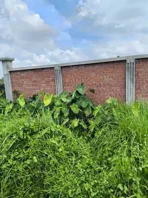 Sector: 24, Park and Lake View 10 Katha Plot Sale in Purbachal