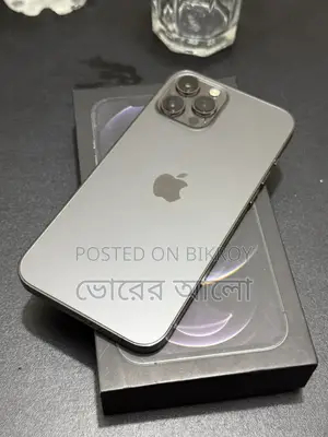 Apple iPhone 12 Pro Max 256 GB Graphite