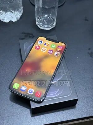 Apple iPhone 12 Pro Max 256 GB Graphite