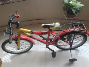 Duranta Junior Bicycle