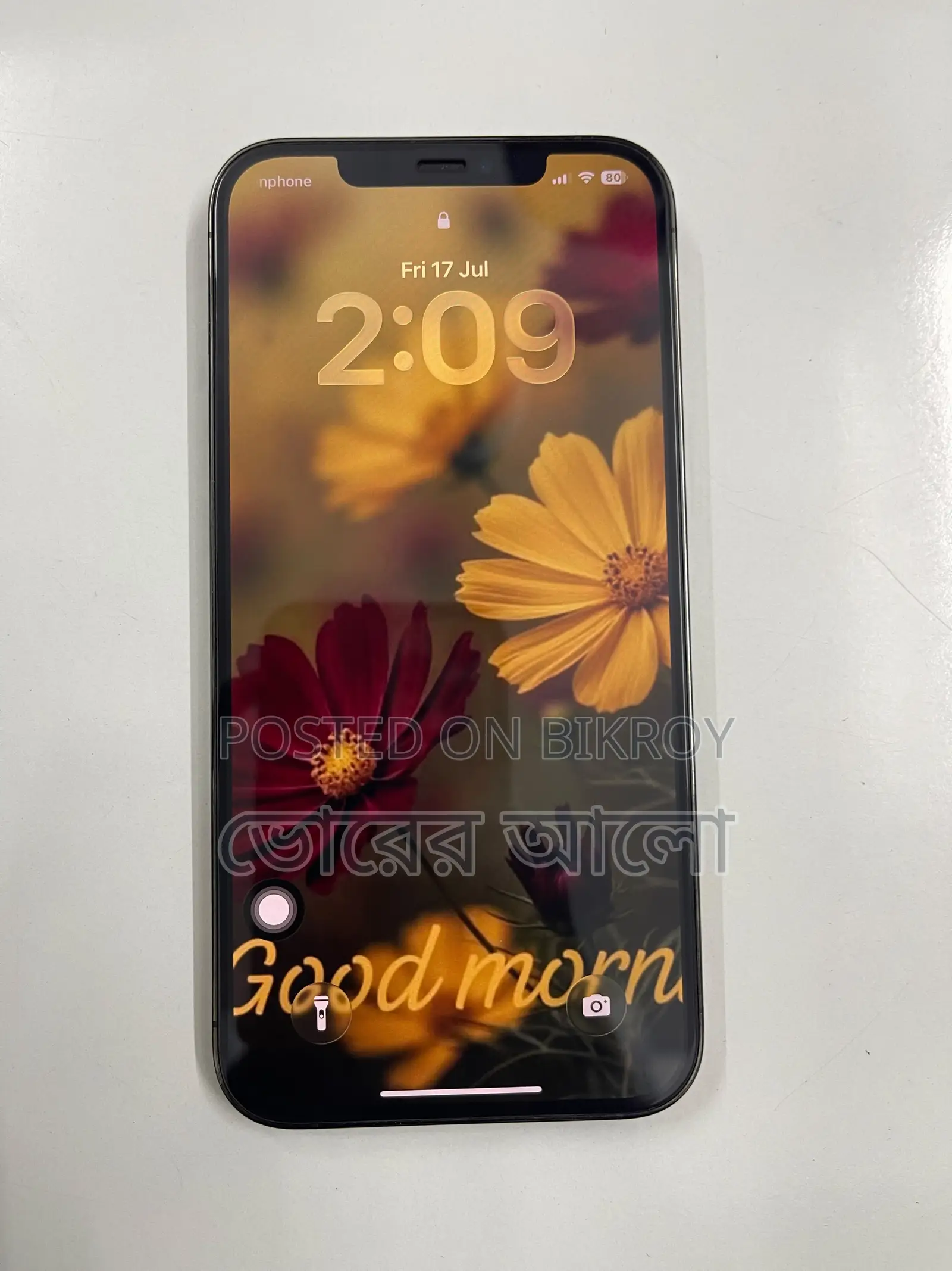 Apple iPhone 12 Pro Max 256 GB Graphite