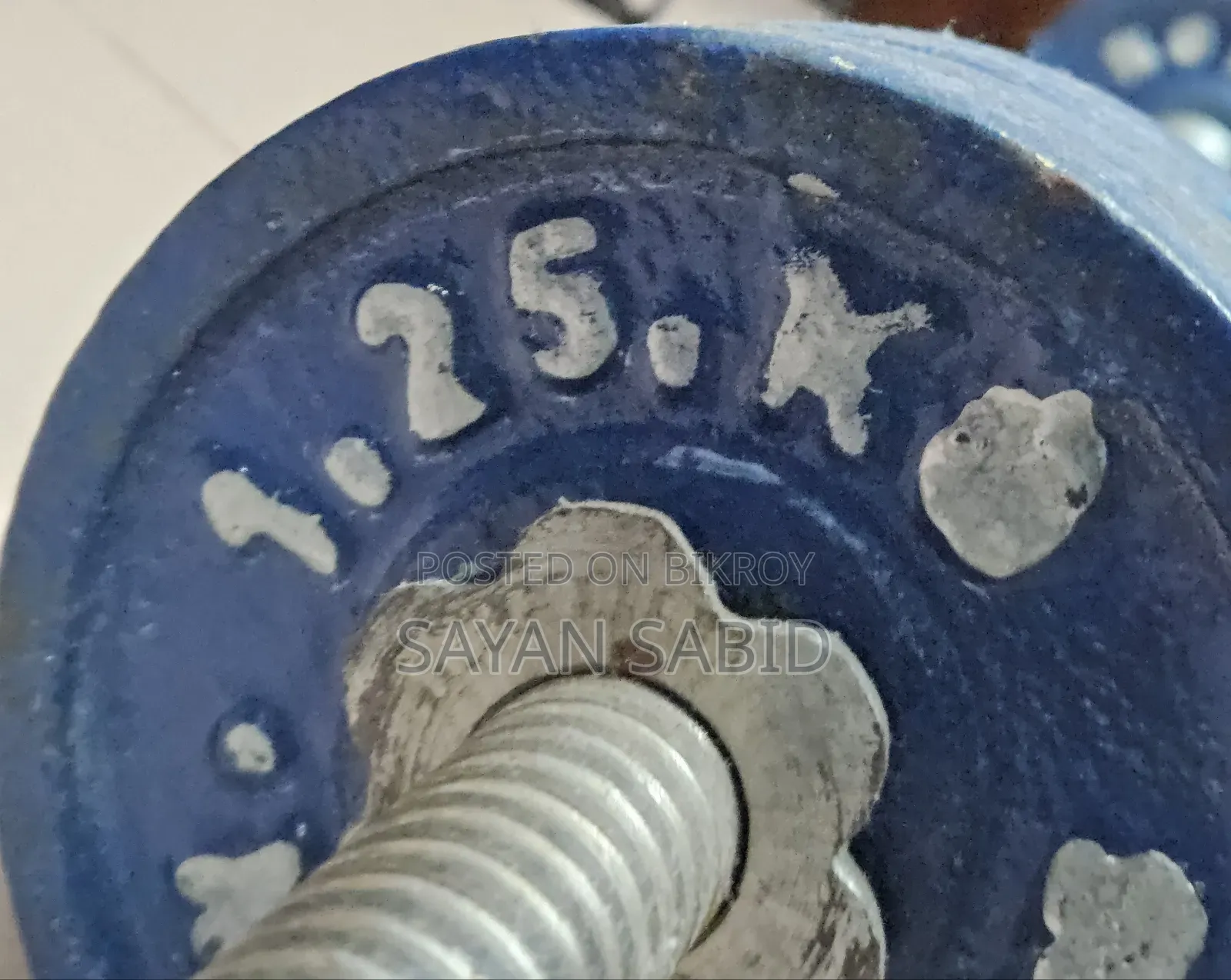Dumbbell and Pull Up Bar