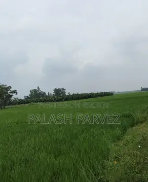 সরাসরি মালিকের ৪৮ শতক উর্বর জমি বিক্রি (খামার বা প্রজেক্টের জন্য)