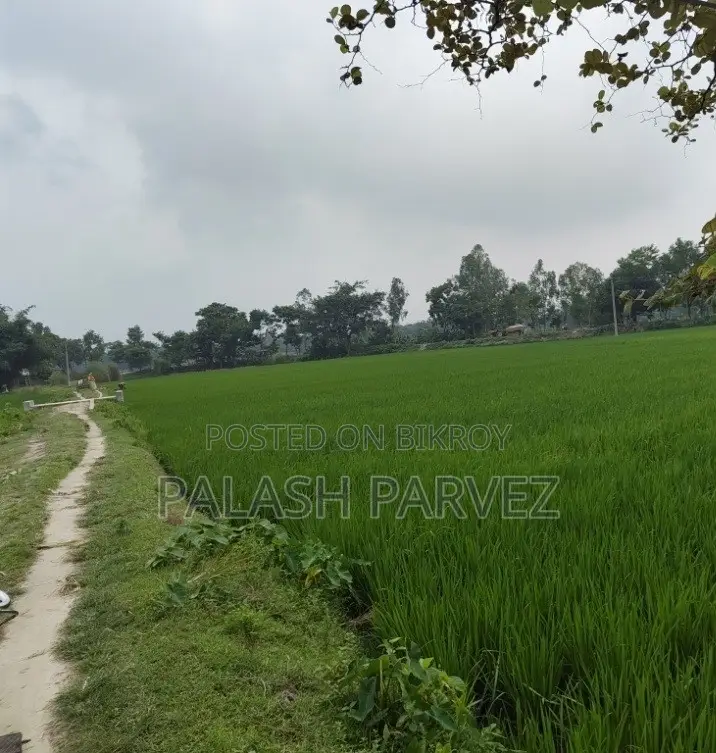 48 decimal fertile land for sale directly from owner (for farm or project)