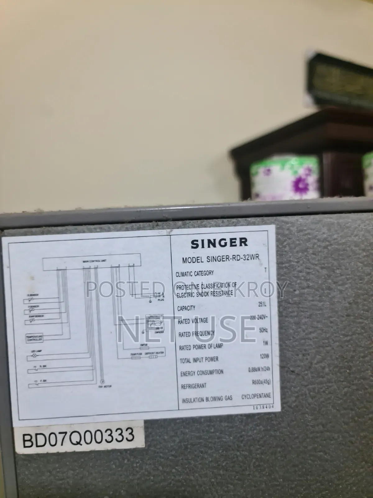 Fridge (Singer)