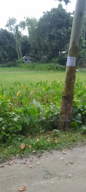 Land for Sale