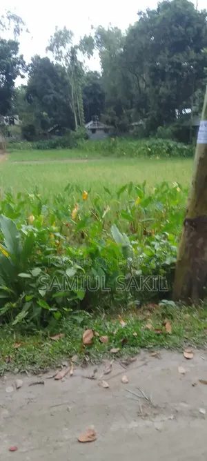 জমি বিক্রি
