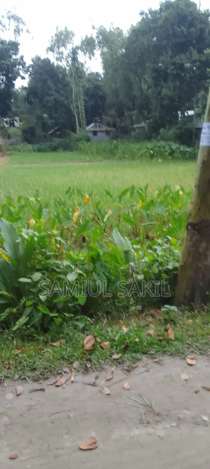 জমি বিক্রি