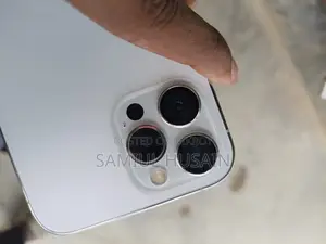 অ্যাপল আইফোন ১২ প্রো ম্যাক্স ২৫৬ জিবি সিলভার