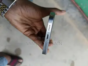 অ্যাপল আইফোন ১২ প্রো ম্যাক্স ২৫৬ জিবি সিলভার