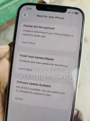 অ্যাপল আইফোন ১২ প্রো ম্যাক্স ২৫৬ জিবি সিলভার