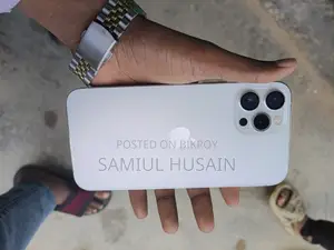 অ্যাপল আইফোন ১২ প্রো ম্যাক্স ২৫৬ জিবি সিলভার