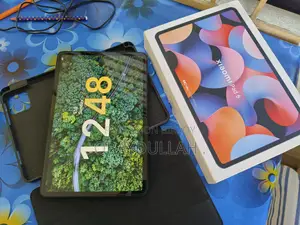 সিয়াওমি প্যাড ৬ ২৫৬ জিবি গ্রে