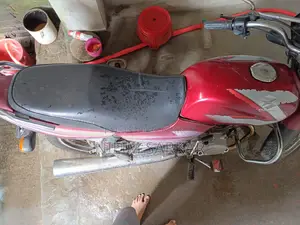 বাজাজ সিটি ১০০ ২০১০ লাল