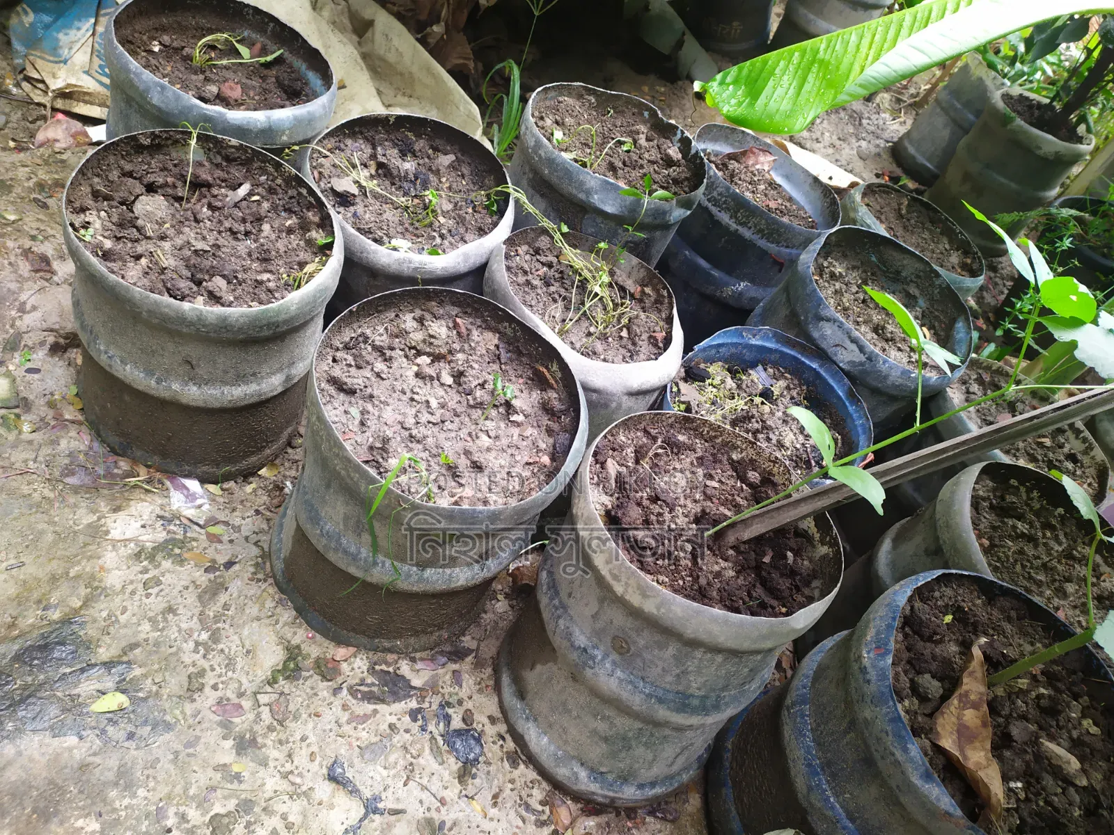 গাছ রোপনের টাব/ঝার