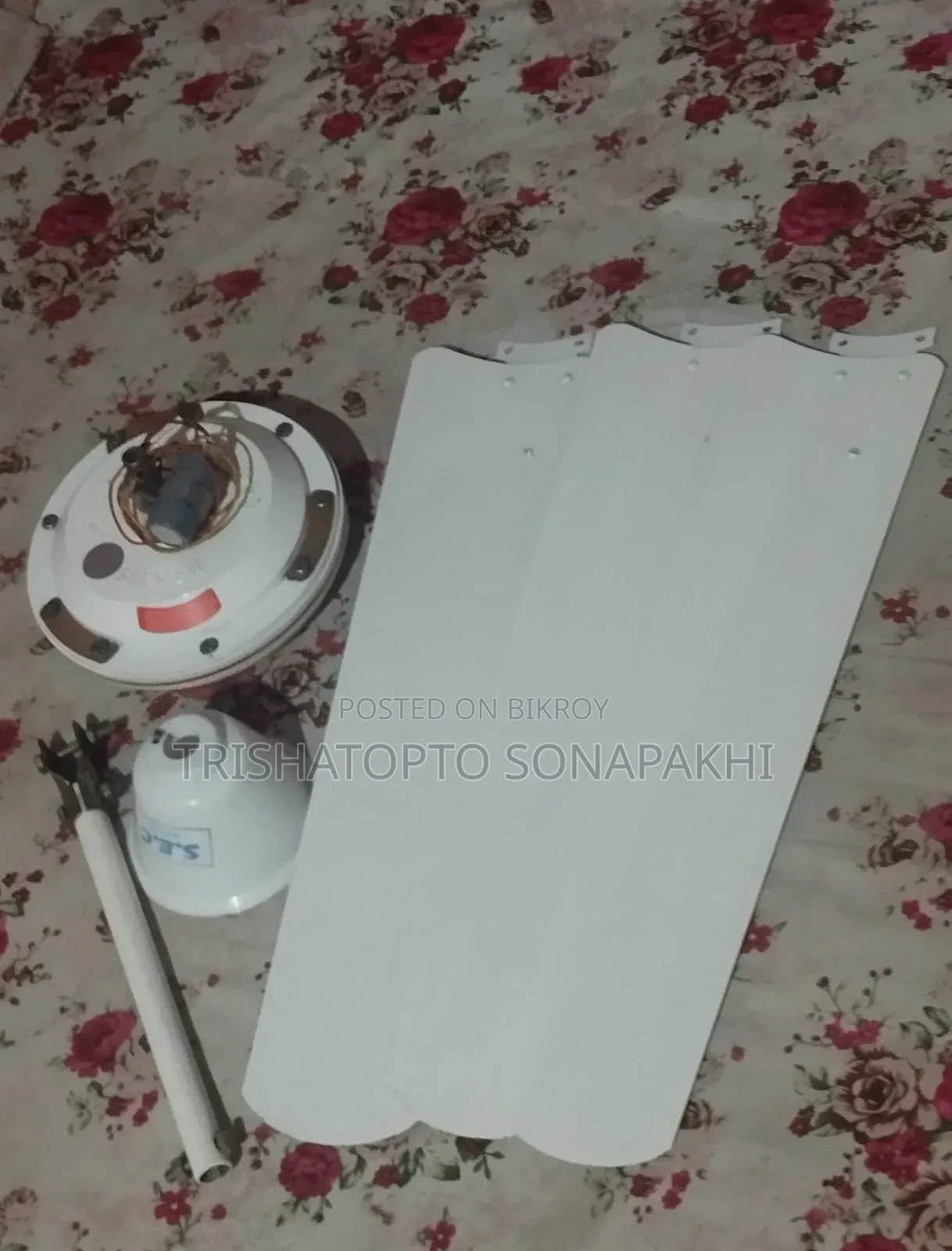 সিলভার ফ্যান