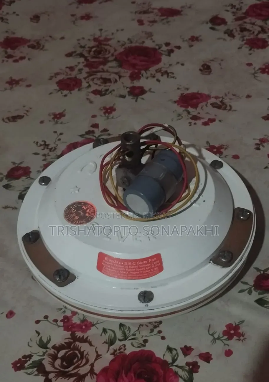 সিলভার ফ্যান