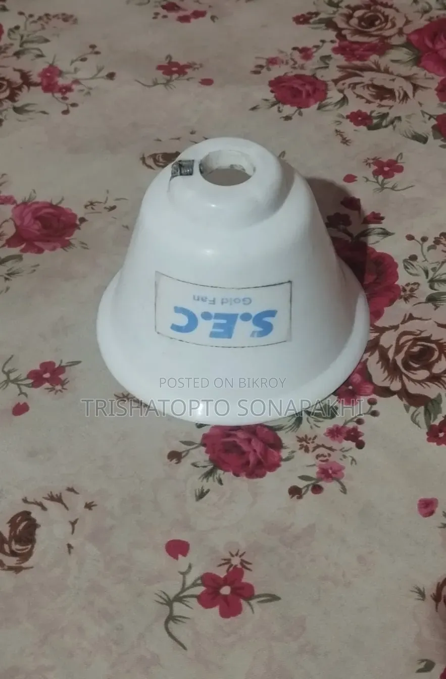 সিলভার ফ্যান