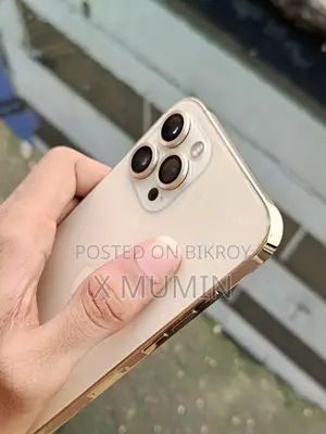 অ্যাপল আইফোন ১২ প্রো ম্যাক্স ২৫৬ জিবি গোল্ড