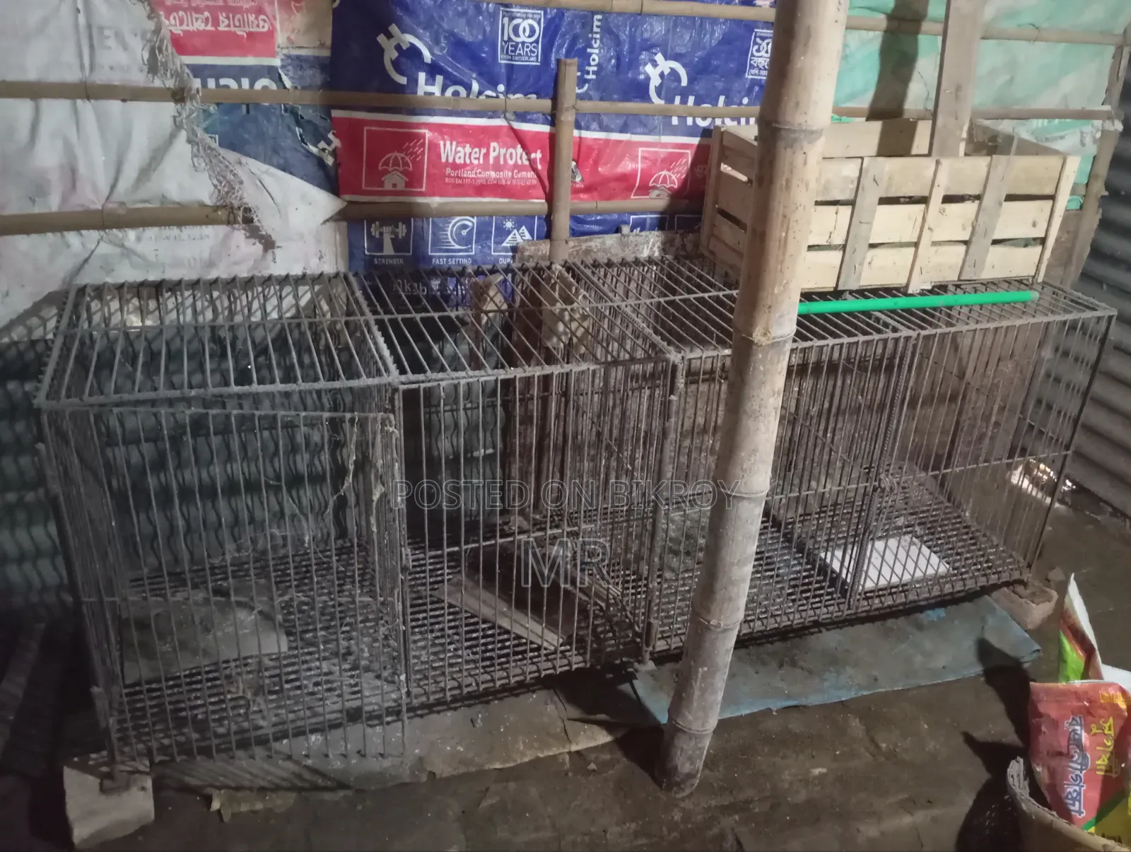 Chicken Cage
