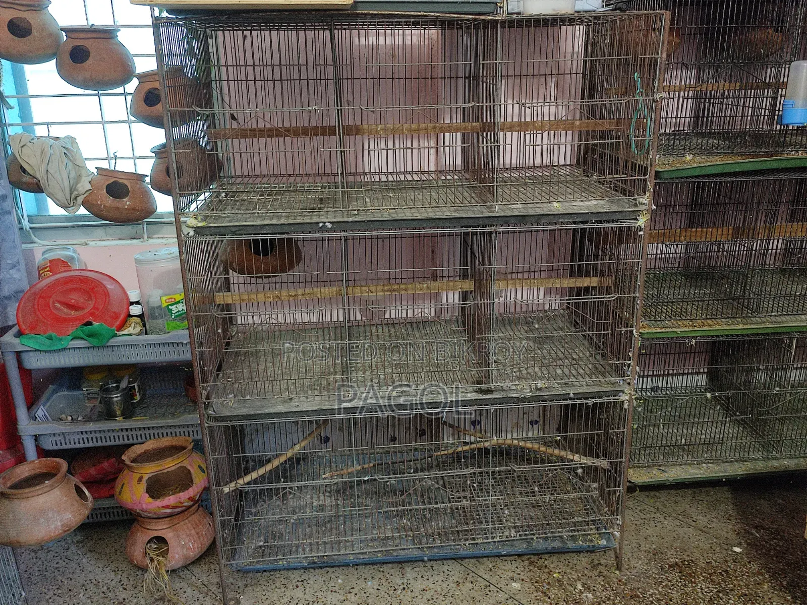 Bird Cage