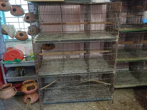 Bird Cage