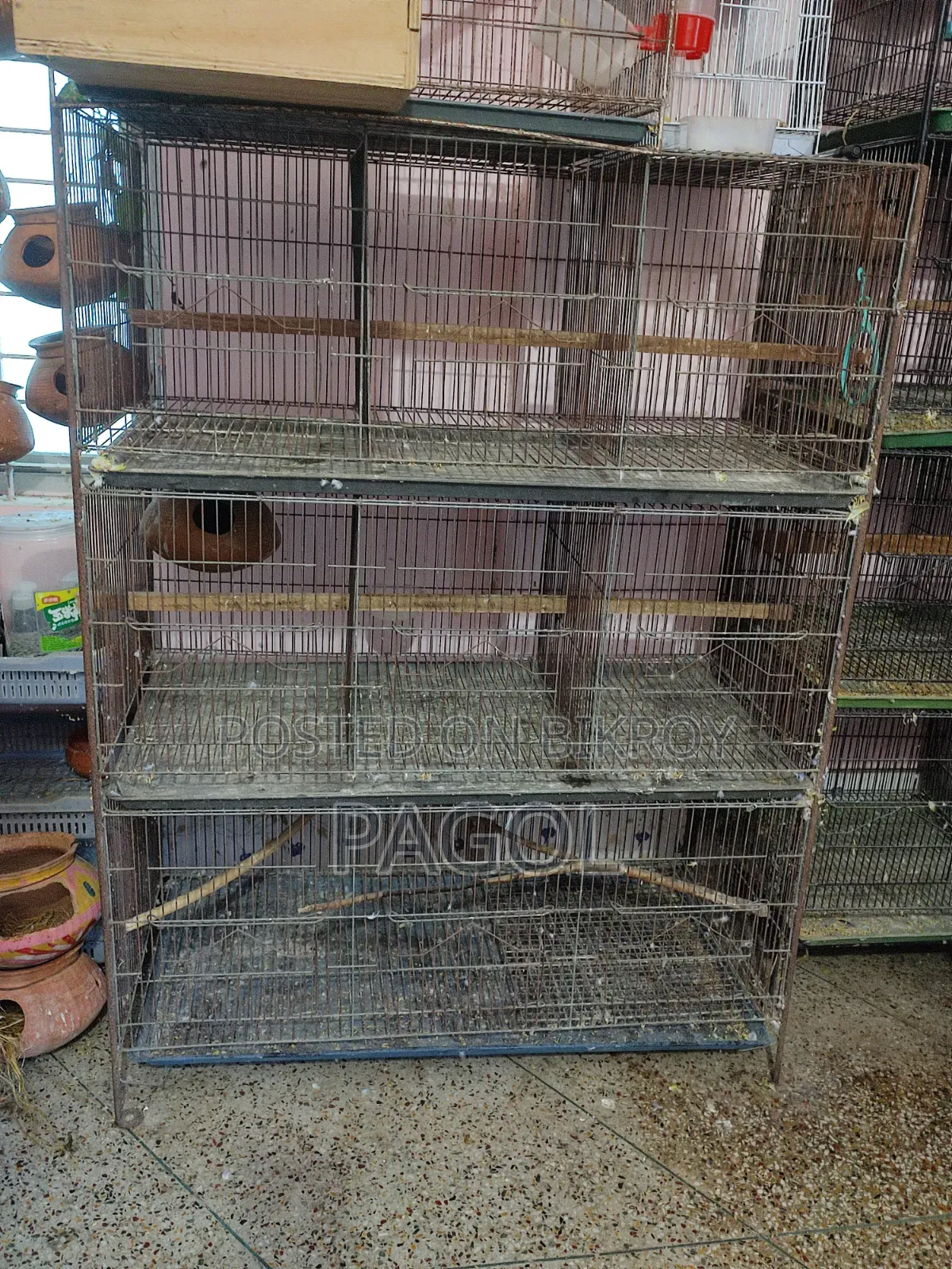 Bird Cage