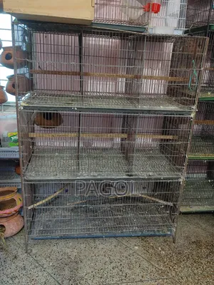 Bird Cage