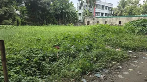 দক্ষিণ মুখী ১০ কাঠা খালি প্লট বিক্রি হেলাল মার্কেট বৈকালি রোডের পাশে।