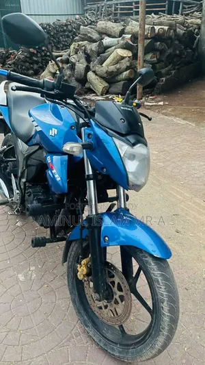 সুজুকি গিক্সার ২০১৯ নীল