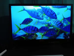 24 Inch Monitor + TV