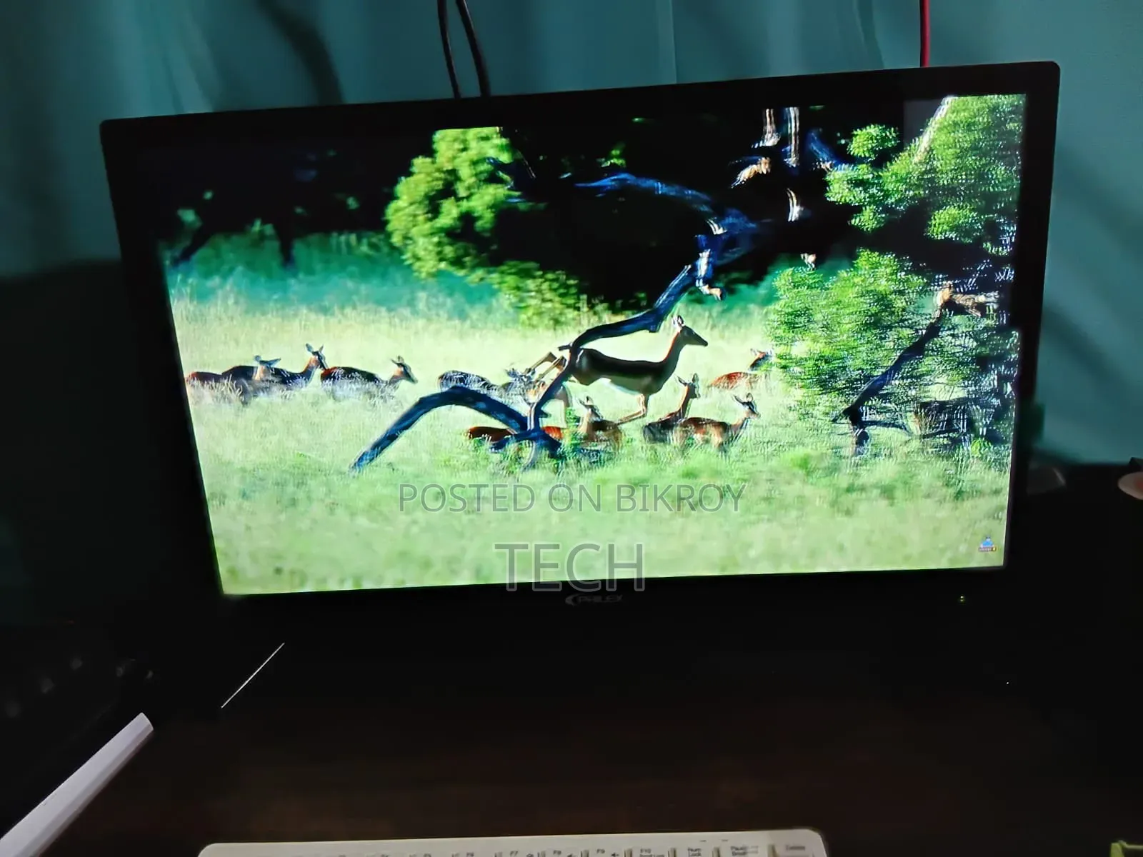 24 Inch Monitor + TV