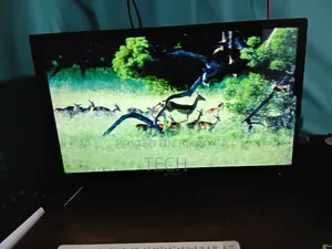 24 Inch Monitor + TV