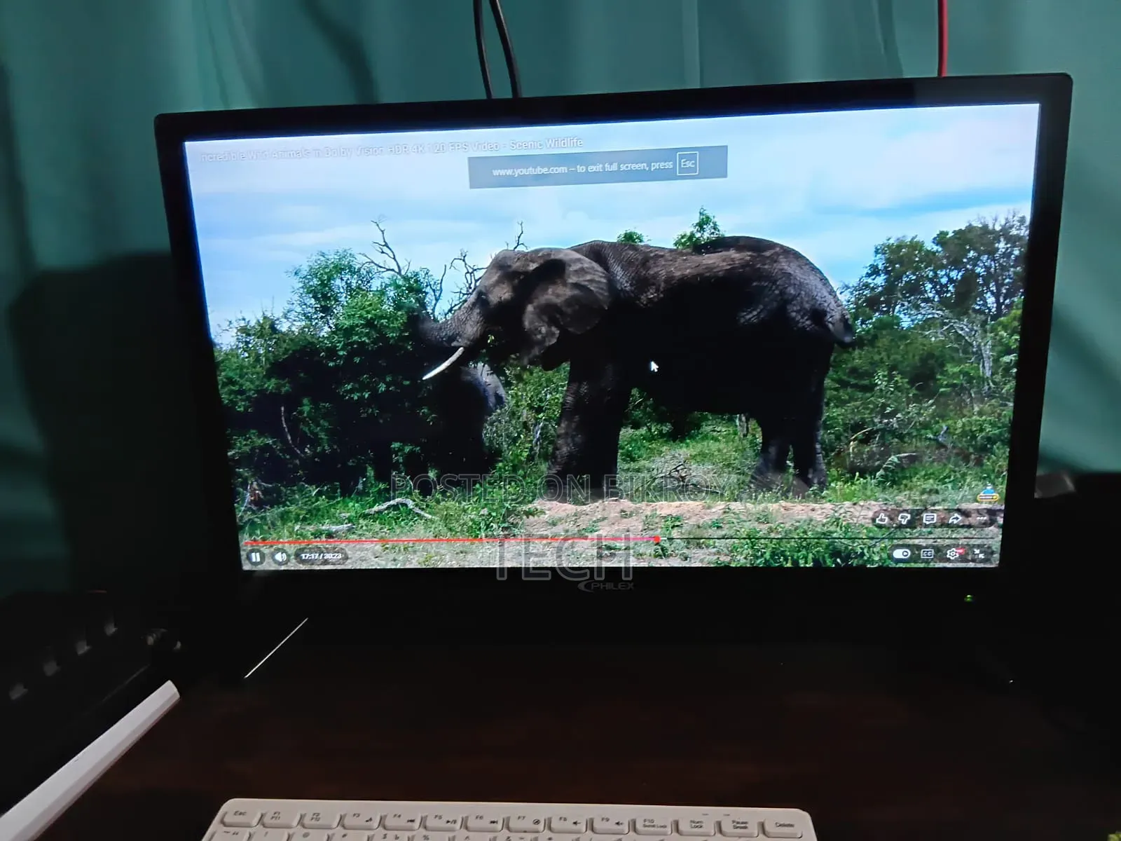 24 Inch Monitor + TV